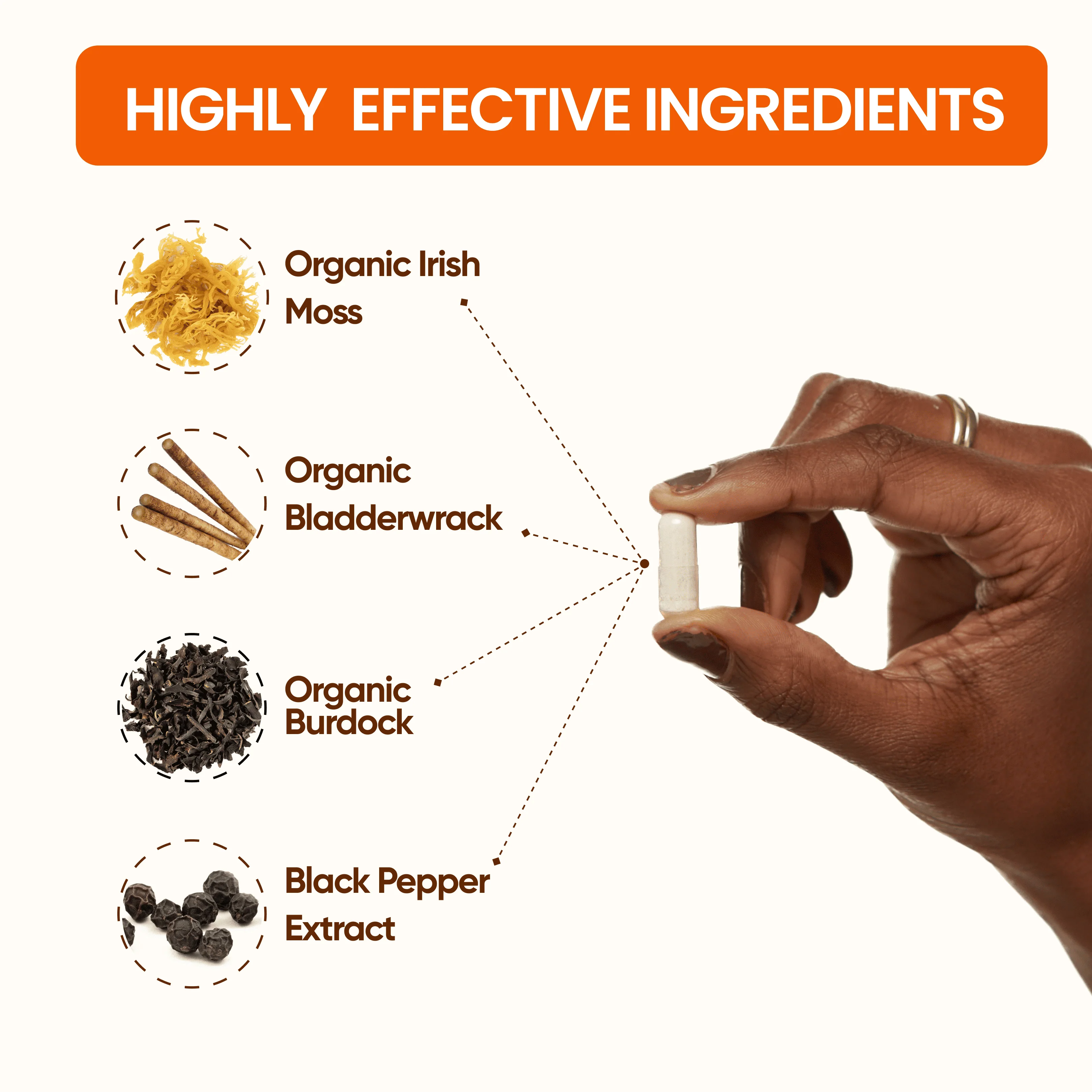 Organic Sea Moss (Pills) - Image 7